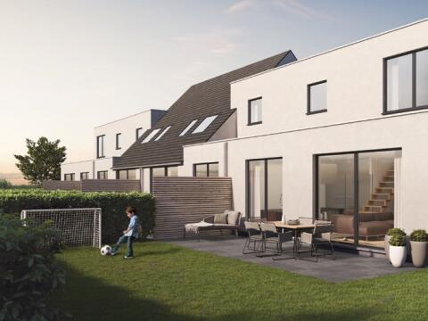 Klavertje 4 in Willebroek, foto 2