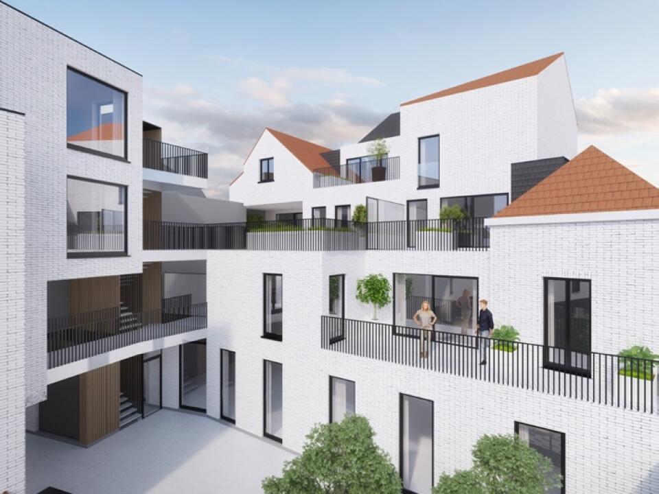 Schuttevee in Mechelen, foto 1