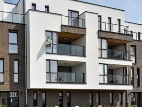 Tweemolens in Mechelen, foto 3