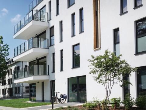 Vaartlink in Willebroek, foto 3