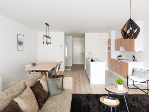 Vaartlink in Willebroek, foto 4