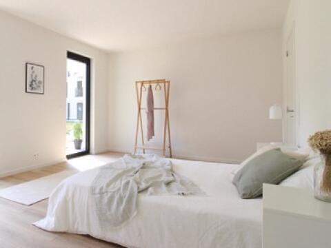 Vaartlink in Willebroek, foto 5
